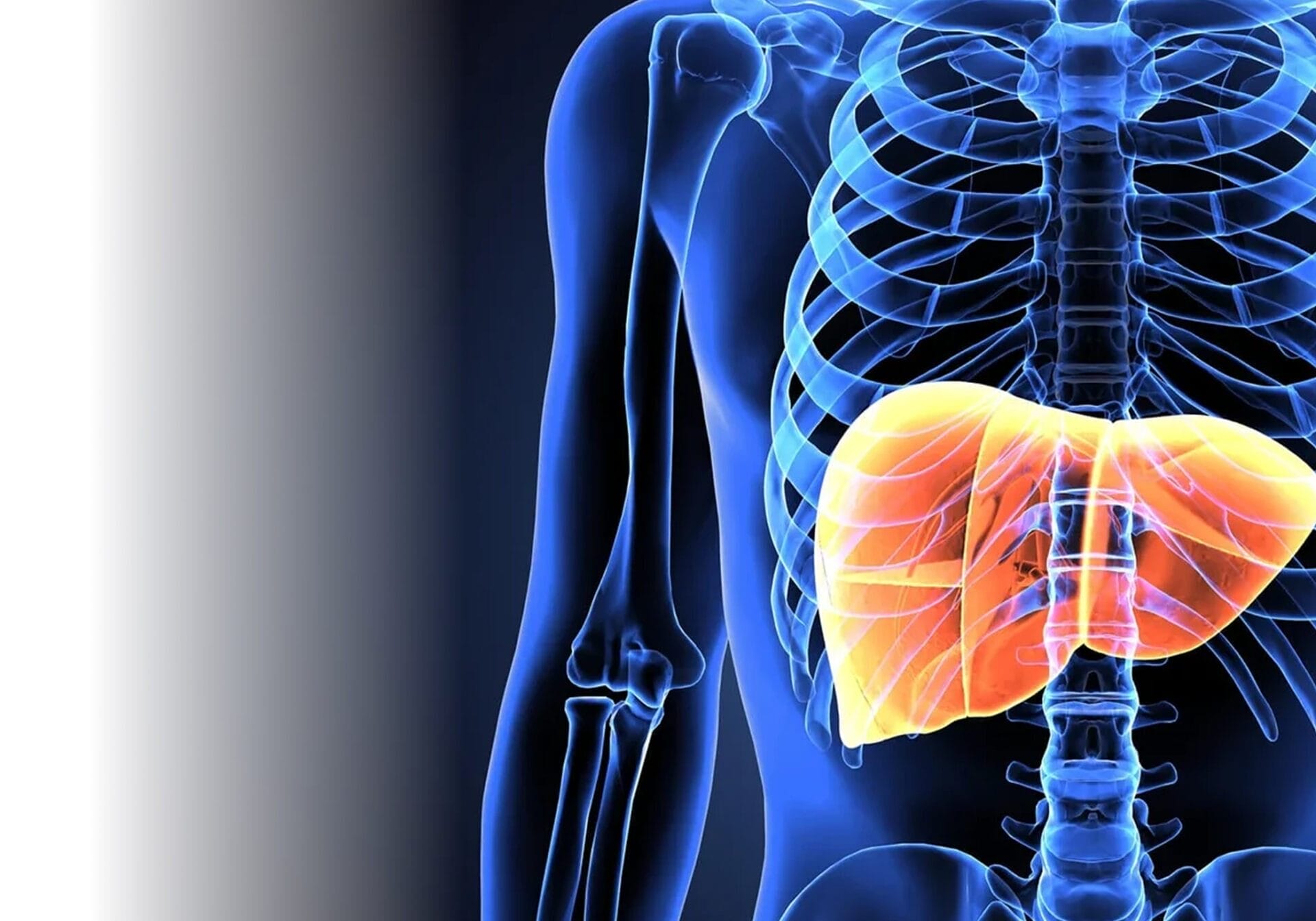 FibroScan Image Live UME Health