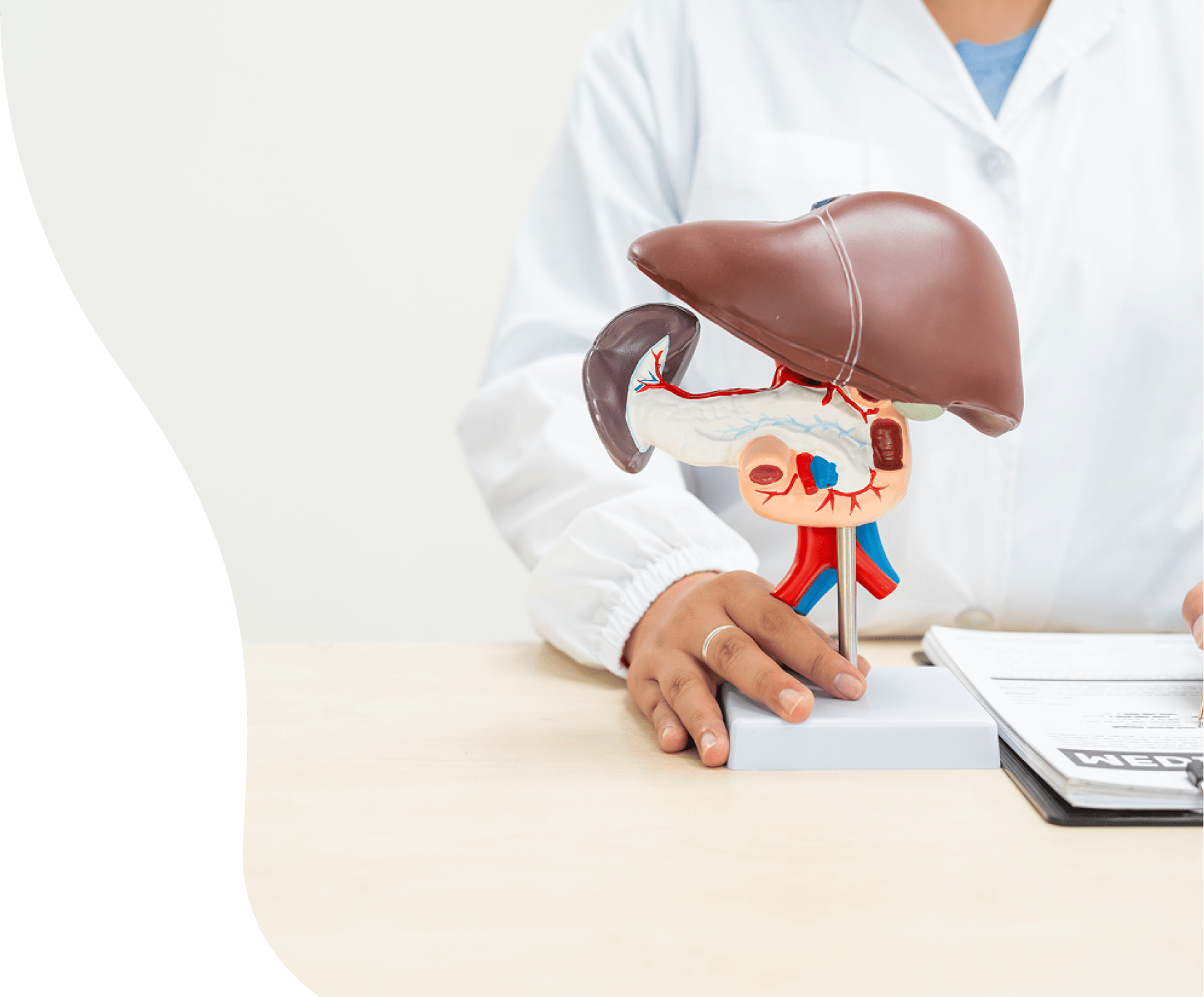 fibroscan fibroscan